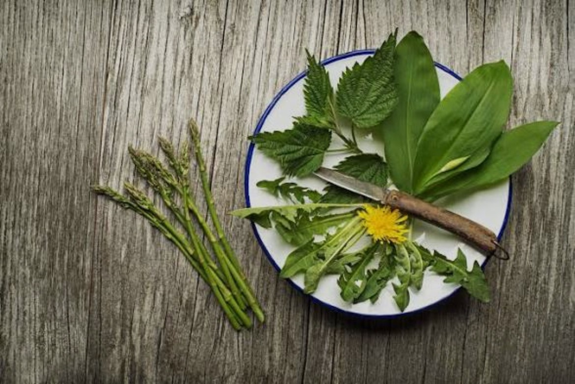 Illustrative image for The Green Medicine Herb Cleansing